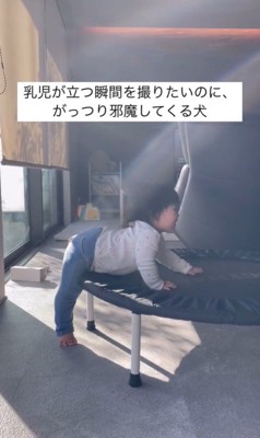 きぬちゃんと立つ練習中の赤ちゃん
