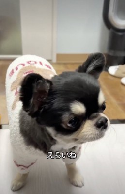 速やかに「完食」