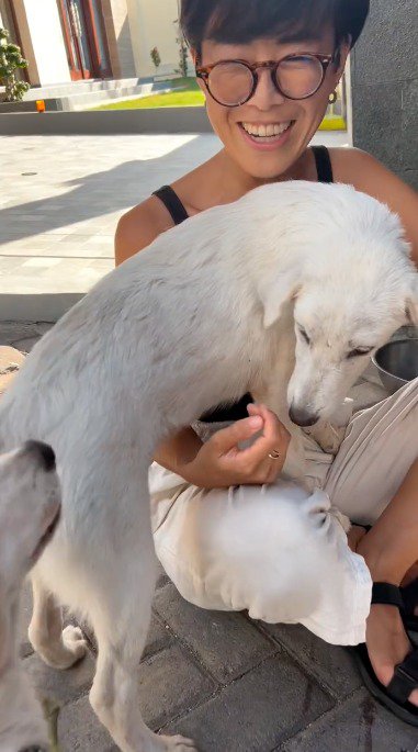 飼い主の膝の上に乗ろうとする犬