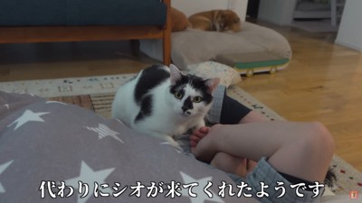 シオちゃんが来てくれた♡