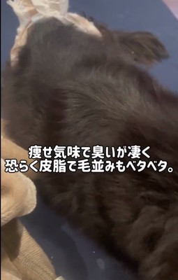 痩せ気味だった次郎くん