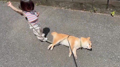 道路に横になった犬を見て、腕を大きく上に上げる女の子