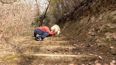 「なに？どうしたの？」