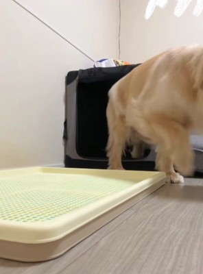 「次はがんばろう!!」