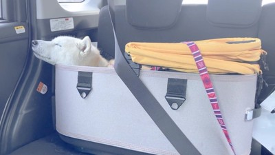 動物病院にいってきます