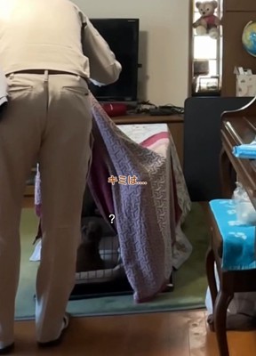 不思議そうなベベさん