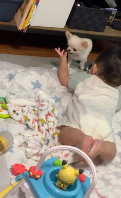 友達のようなふたり