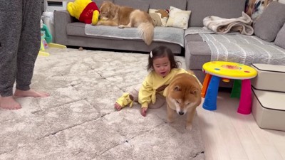 「やってあげる」