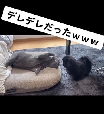 デレデレだった！！