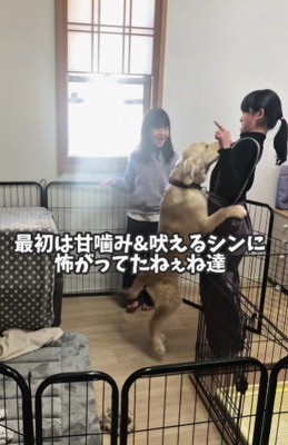 初めは怖かったけど…