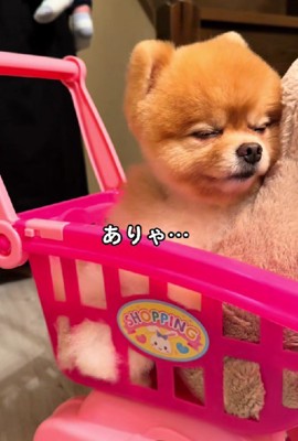 眠気が襲ってきた