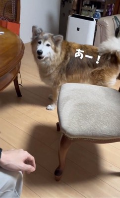 気づいたごん太郎くん