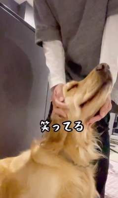 おばちゃんに会えて大興奮のリサちゃん⑩