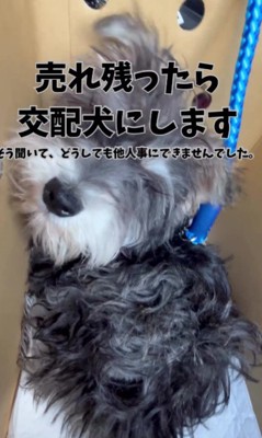 他人事に思えなかった…