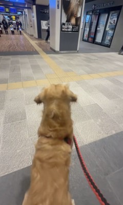 すぐに見つけちゃいました