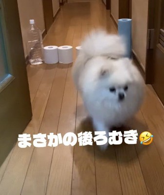 逆にすごい!?