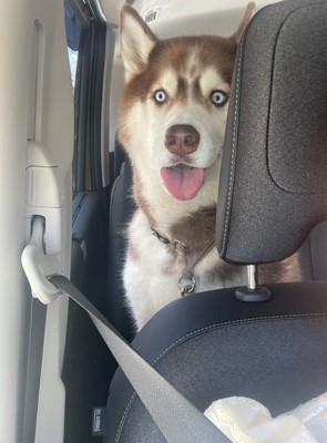 数秒前までウキウキだったのに…