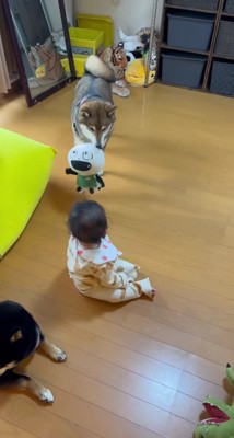 「柔らかいから安全だよ」