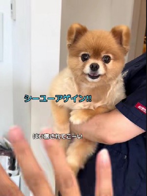 トリミングへ♪