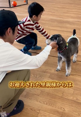 おもちゃで遊ぶ犬