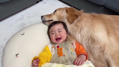 テンションMAXのほのちゃん