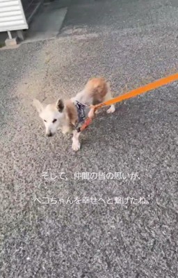 たくさんの人が繋いだ命