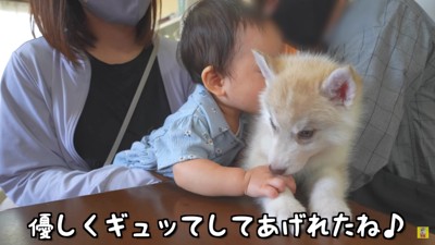 子犬さんをギュッと抱きしめた