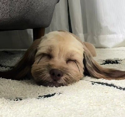 どんな姿も可愛いね！！