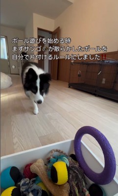 ボールを片付けるサンゴくん5