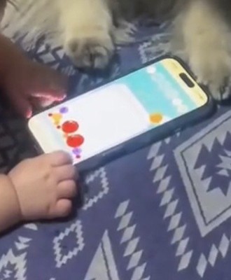 スマートフォンに触れる赤ちゃんの手と犬の前足