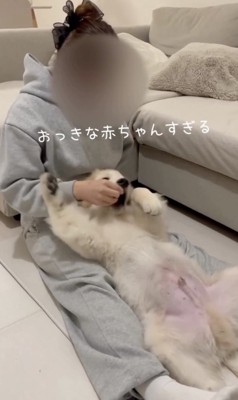 無事もらえました