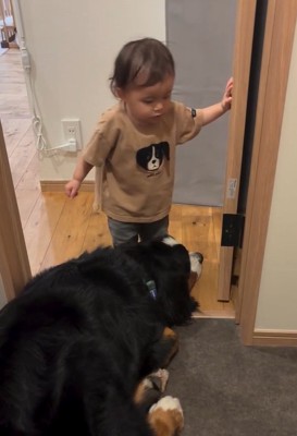 通りたい赤ちゃん