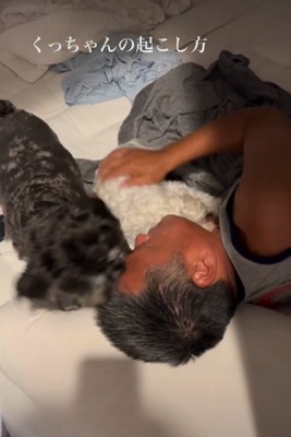 なでられる犬