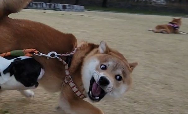 遠くで