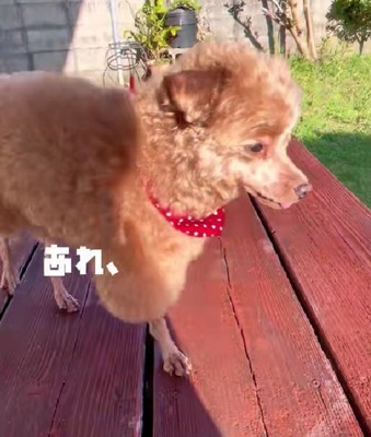 なんだか顔が…!?