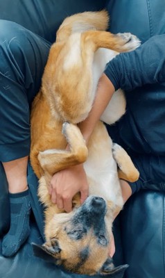 愛情を注いで育てられたアキちゃん8