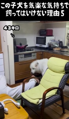 「あら?ちょっと強すぎたかしら?」