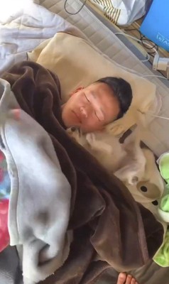 飼い主の顔の横で足をばたつかせる犬