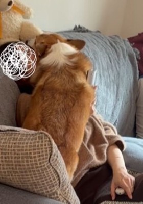 エルモちゃんのおもてなし7