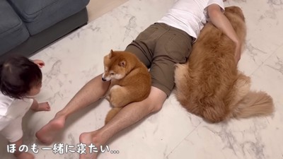 パパの周りをウロウロ