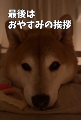 大切なひととき