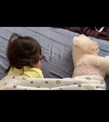 まさかの知らんぷり…