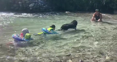 運転手はとらじろうくん!