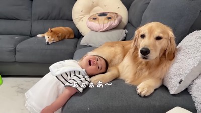 ニコニコと挨拶