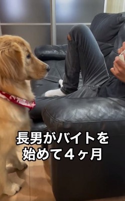 おやつを見つめるマリンちゃん1