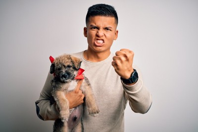 犬を抱いて感情的に怒る男性