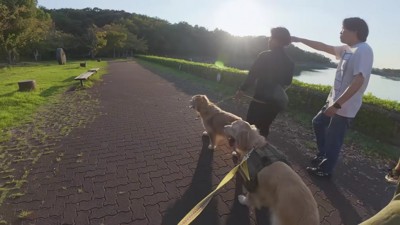 思い出話に花が咲く…