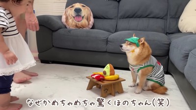 うにくんが営むコンビニ