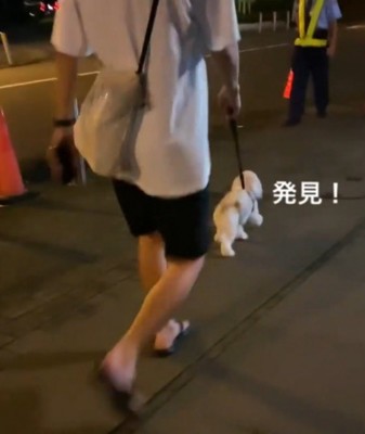 警備員の男性を見て駆け寄る犬