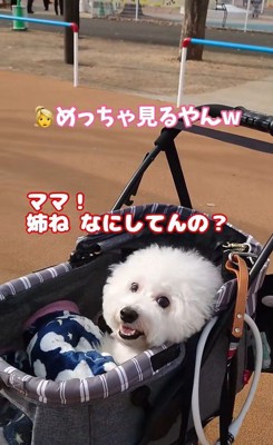 ミルクくんのナイスリアクション9